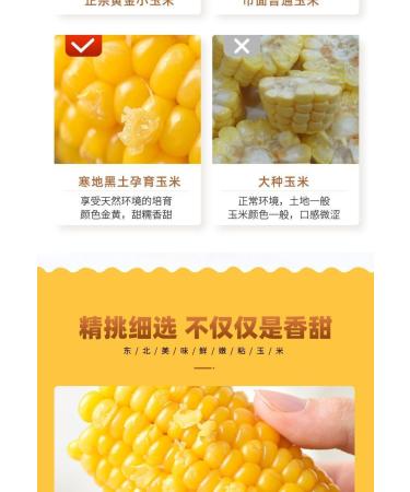 Delicious yellow glutinous corn stick sweet corn fresh corn vegetable snacks nutritious breakfast Coarse grains cereal Dim sum dessert sweets Chinese snack gift pack convenience food (8 bags) - Buy Online on SooperMarket.com