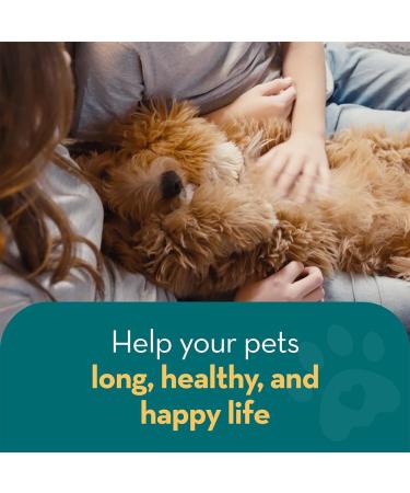 The Healthy Dog Co Spot On Flea and Tick Treatment for Dogs 100ml - Buy Online on SooperMarket.com