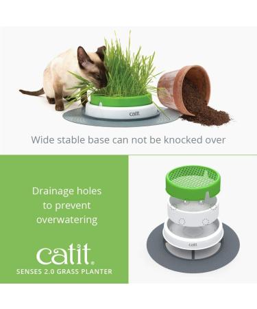 Catit Play Track Super - Ultimate Super Circuit & Grass Planter for Cats | International Shipping - Buy Online on SooperMarket.com