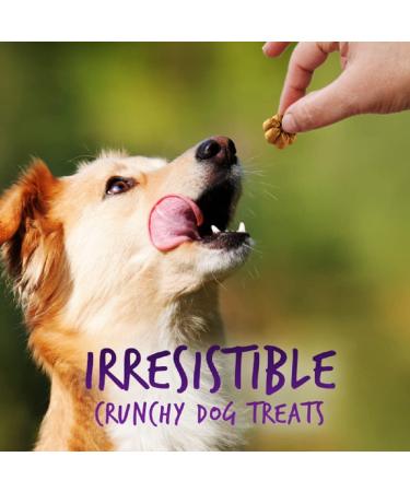 Fruitables Baked Dog Treats - Healthy Pumpkin & Blueberry Snacks | Low-Calorie, Wheat, Corn & Soy Free | 7 Oz - Buy Online on SooperMarket.com