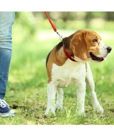 Adjustable Double Pet Trainer Leash - No Tangle Double Dog Leash for Dual Use | Weescie - Buy Online on SooperMarket.com