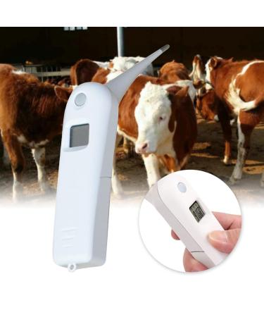 Pet Thermometer With Probe For Accurate Temperature Detection Suitable For Cats Dogs LCD Display For Cat Dog Thermometer Veterinary Thermometer Digital For Small Animals Large Animals Dogs Horse Cats - Buy Online on SooperMarket.com