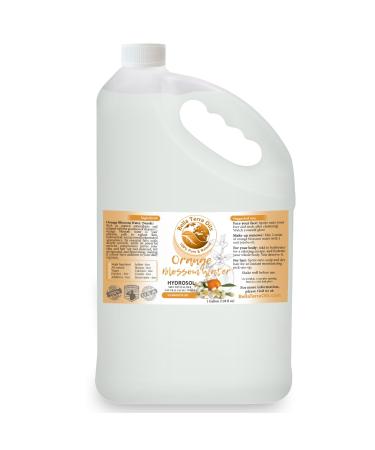 Bella Terra Oils Orange Blossom Water (Neroli Hydrosol) 1gallon Radiant Skin Refresher Natural Aroma Revitalize & Glow 12.8 Fl Oz (Pack of 10)