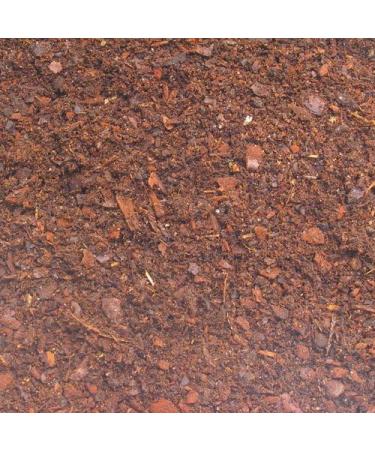 JBL TerraBark 71021 Soil Substrate for Forest & Rainforest Terrariums - Pine Bark 2-10 mm 5L | International Shipping Available - Buy Online on SooperMarket.com