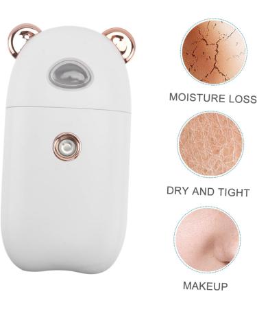 NOLITOY 2 Pcs Beauty Humidifier Portable Facial Mister Facial Mist Sprayer Hydrating Instrument - Buy Online on SooperMarket.com
