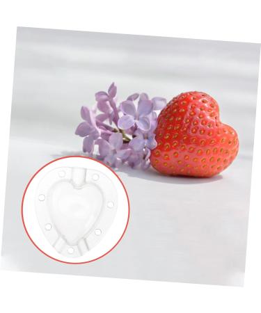 Mipcase 5pcs Fruit Shaping Mold Garden Tool Fruit Protection Cucumber Mold Vegetable Fruit Cucumber White - Buy Online on SooperMarket.com