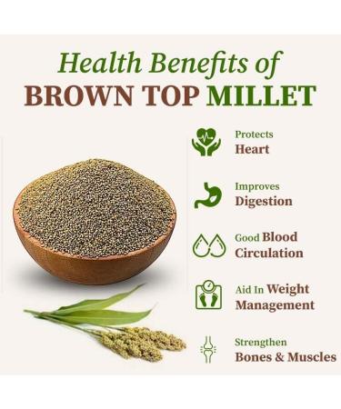nalAmudhu Browntop Millet | Korale | Urochloa Ramosa Millet 453.5g | 1-lbs - Buy Online on SooperMarket.com