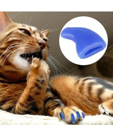 Cikonielf 100PCS Soft Pet Cat Nail Caps Claws Safe Anti Scratch Dog Paw Claw Protector Covers with Instructions With multiple options.(Blue S) - Buy Online on SooperMarket.com