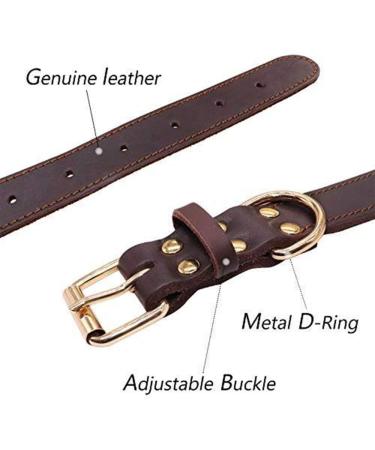 Tagme Personalized Leather Dog Collar - Engraved Name & Phone Number for Small Dogs - 1 Pack (Brown) - Buy Online on SooperMarket.com