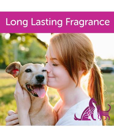 Nootie Daily Spritz Pet Conditioning Spray - Japanese Cherry Blossom Scent - 8 oz Dog Conditioner for Sensitive Skin - Long Lasting Fragrance - No Parabens, Sulfates, Harsh Chemicals or Dyes - Revitalizes Dry Skin & Coat - Buy Online on SooperMarket.com