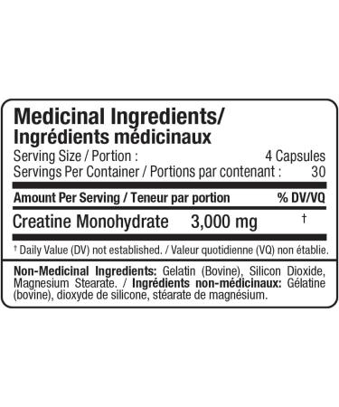 ALLMAX Nutrition - Creatine 3000 Creatine Monohydrate Capsules for Strength and Muscle Recovery Gluten Free & Fast Absorbing 3000 mg 120 Capsules - Buy Online on SooperMarket.com