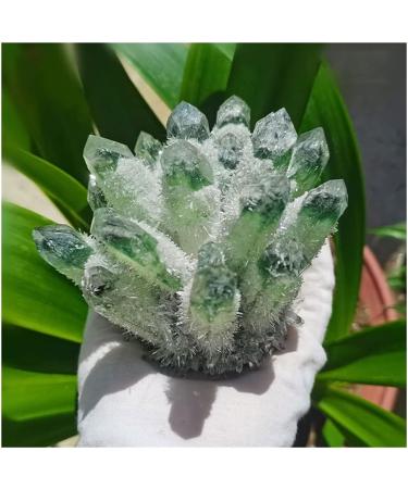Stone Crafts Green Ghost Phantom Quartz Crystal Cluster Specimen kaixun (Size : 500-600g) - Buy Online on SooperMarket.com
