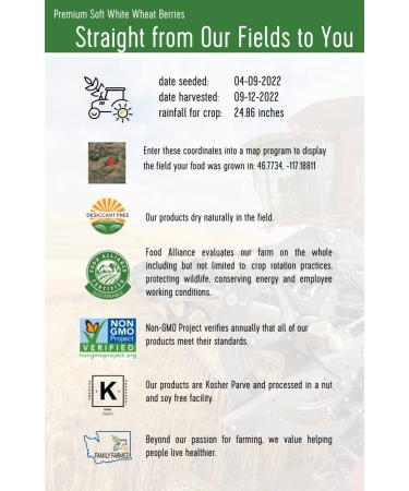 Soft White Wheat Berries 12 lbs - Non-GMO Project Verified, Kosher, USA Grown - Resealable Kraft Bag - Pack of 3 - Buy Online on SooperMarket.com