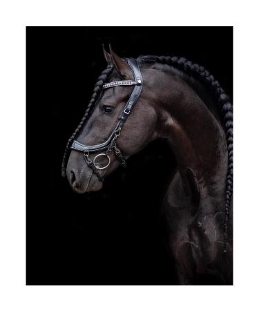 Buy Presteq Bridle FaySport Glitter PresTec Black - Cob/VB | Premium Equestrian Gear Shipping Worldwide - Buy Online on SooperMarket.com