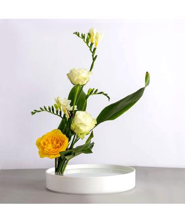 DAJAVE 10 Pack Flower Frogs - Round Japanese Flower Arranger Tool for Plant Decoration and Floral Arrangement - Buy Online on SooperMarket.com