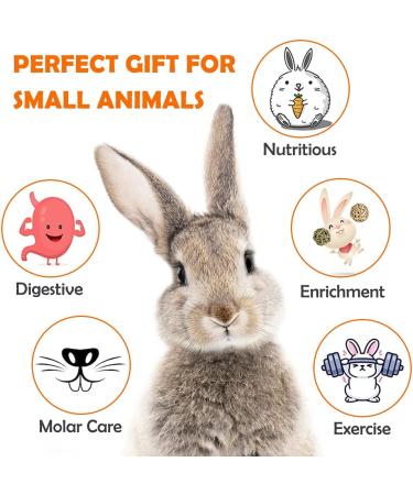 Natural Timothy Hay Sticks for Small Pets - Handmade Rabbit & Guinea Pig Toys - Buy Online on SooperMarket.com