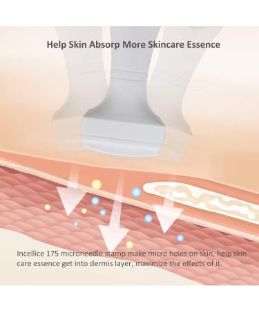 Professional Microneedling Derma Stamp for Hair Growth - 175 Pins Microneedle Dermapen for Skin Care at Home - 1.5mm - Buy Online on SooperMarket.com