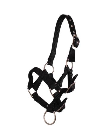 QHP Foal Halter Halter Foal Nylon Halter 4 Foal Sizes 6 Colors (Foal Full black) Foal Full black