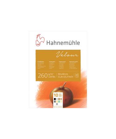 Hahnemuhle Pastel 10 Color Velour Pad 11.7x15.6 Inches 260gsm 10 Sheets