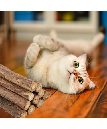 tiopeia 30 PCS Cat Catnip Sticks Natural Matatabi Chew Sticks as Dental Treat Teeth Grinding Chew Toys for Cat Kitten Kitty - Buy Online on SooperMarket.com