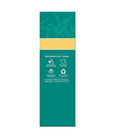 Burt's Bees Natural Acne Solutions Maximum Strength Spot Treatment Cream for Oily Skin  0.5 Oz (Package May Vary) Targeted Spot Treatment - Buy Online on SooperMarket.com