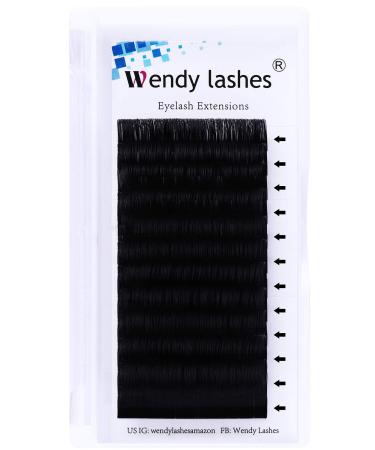 Eyelash Extensions D Curl 20-25mm Single Tray Classic Eyelash Extensions Individual Lashes 0.20mm Thickness Silk Lash Extensions Professional Salon Use by WENDY LASHES(0.20-D 22mm)