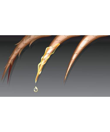 Premium Argan Oil Hair Serum - Nourishing Treatment for Dry & Damaged Hair | Frizz Control & Split Ends Care (3x30ml) - Buy Online on SooperMarket.com