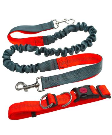 Aiqeer Hands Free Dog Leash Orange Adjustable Waist Belt and Grey Retractable Bungee Leash Jogging Dog Leash with Reflective Stitching