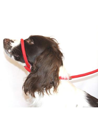 Dog & Field Figure 8 Anti Pull Lead / Halter / Head Collar (RED) - One Size Fits All - Super Soft Braided Nylon - Fitting Instructions Included- Comfortable Kind Supple Secure and Proven to Make Your Walks More Enjoyable - No More Pulling!
