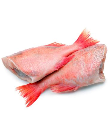 Fresh Red Bream 1000gr