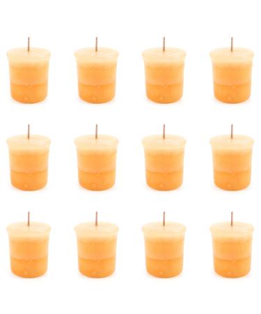 Pajoma fragrance votive candle 12 pieces of 55 g vanilla |Marble votive candle burning time approx. 17 hours - height 5 cm 4 cm |Premium quality vanilla 12