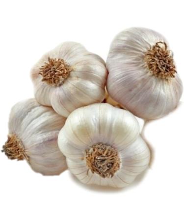 Humis Crispy Fried Garlic Flakes 160g - Premium Quality Fried Garlic Flakes - Buy Online on SooperMarket.com