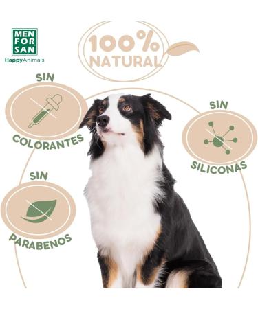 MENFORSAN Argan Oil Dry Shampoo for Dogs - 250ml | Gentle & Effective Dog Grooming Solution | Shop Internationally - Buy Online on SooperMarket.com