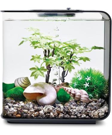 Buy Biorb 55026 Decor Set 15L - Realistic Artificial Aquatic Plants Roots & Stones for Freshwater & Saltwater Aquariums - Perfect Summer Decoration - Buy Online on SooperMarket.com