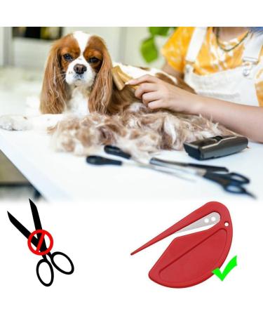 Pet Knotting Comb 5Pcs Letter Opener Wrapping Paper Cutter Sliding Cutter for Pet Open Knot Comb for Cat & Dogs Pet Dematting Comb Hair Knot Remover (5PCS) - Buy Online on SooperMarket.com