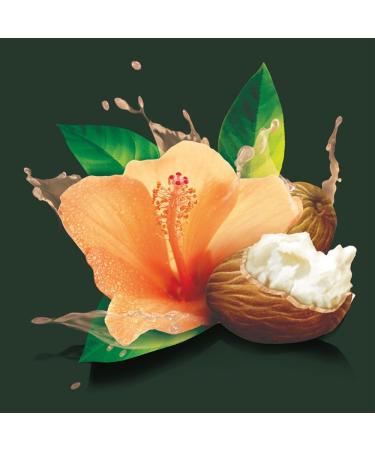 TRESemm Botanique Shampoo for curly hair Curl Hydration with Shea Butter & Hibiscus 739ml - Buy Online on SooperMarket.com