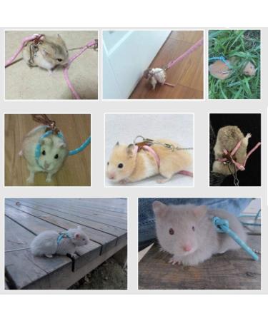 Adjustable Hamster Harness & Leash | Anti-Bite Vest for Hamsters Gerbils Rats Mice Ferrets & Squirrels - Pink - Buy Online on SooperMarket.com