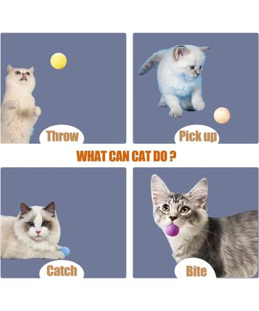 QIODAZOO 12PCS Cat Toy Balls 6 PCS Cat Bell Ball and 6 PCS Cat Soft Ball for Kitten Cat Interacitve Indoor Colorful Toy (Random Color) - Buy Online on SooperMarket.com