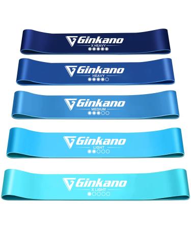Haquno elastic fitness band 5 pieces resistance band elastic 5 starch levels natural latex exercise equipment for strength training/pilates/yoga - storage box included blue M