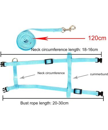 Adjustable Rabbit & Pet Harness Set - Blue & Pink Leash for Dogs Kittens Rabbits & Guinea Pigs | International Shipping - Buy Online on SooperMarket.com