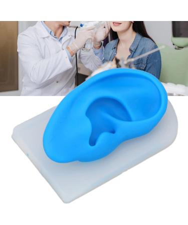 Flexible Silicone Ear Model for Hearing Amplifier Display - Professional Student Tool - Buy Online on SooperMarket.com