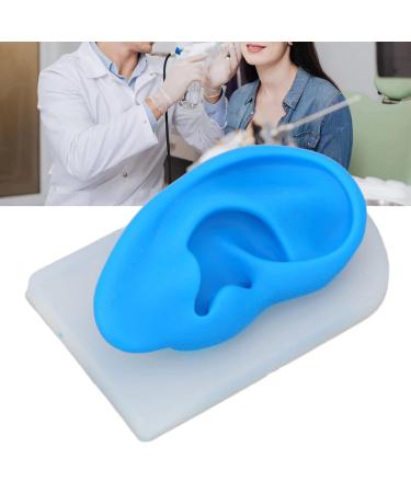 Ear Model ANGGREK Display Ear Model Soft Ear Modeling Tools Teaching Ear Model Elastic Ear Shaping Aids for Showing Learning and Assisting - Buy Online on SooperMarket.com