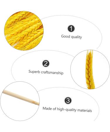 MAGICLULU 200 Pcs Dried Wheat Ears Bouquet Decor Wheat Stalk Natural Wheat Ear Dried Flowers Bouquet Dry Flowers Floral Arrangement Wheat Ear Wedding Wheat Ear Dried Flowers. Barley Props Yellowx2pcs 52X10CMx2pcs - Buy Online on SooperMarket.com