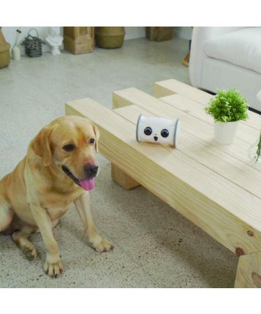 SKYMEE Owl Robot Pet Camera & Treat Dispenser for Dogs & Cats | Remote App Control | Interactive Toy | 2.4G WiFi | Ideal for Women - Buy Online on SooperMarket.com