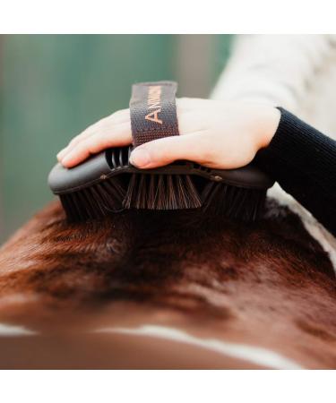 Animalon Careeflex Kard tsche | Ergonomic & Flexible Horse Brush with Velcro Fastener | Essential Cleaning Tool for Horse Care Accessories - Buy Online on SooperMarket.com