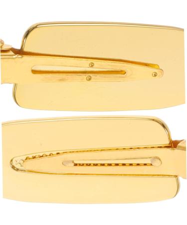 Didiseaon 1 Pair Practical Hairpins Bobby Pins Bang Clips Hairdressing Clips Hair Styling Clamps - Buy Online on SooperMarket.com