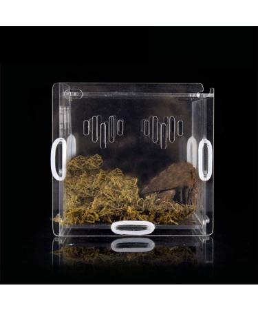 OMEM Transparent Acrylic Pet Reptile Combination Breeding Box - Ideal for Spiders, Scorpions, Snakes - Durable & Spacious - Buy Online on SooperMarket.com