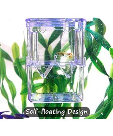 In-Tank Aquarium Breeder Box for Fish Tank | Acrylic Divider for Shrimp Clownfish | Small Fish Hatchery and Incubator - Ideal for Breeding, Isolating Aggressive or Injured Fish - Buy Online on SooperMarket.com