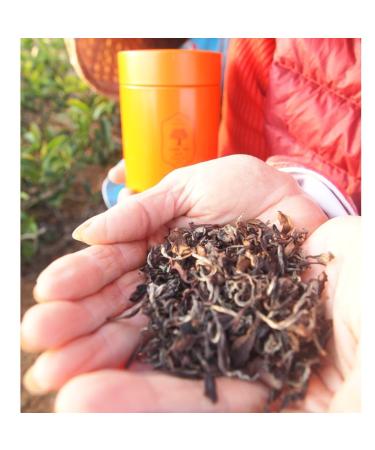Taiwan unique tea Oriental Beauty tea 75g*4