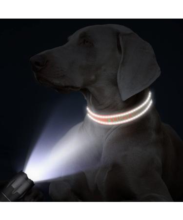Buy Tagme Personalized Reflective Dog Collar for Small Dogs - Embroidered with Pet Name & Phone Number Orange XS (1 Pack) - Perfect for Safety & Style - Buy Online on SooperMarket.com